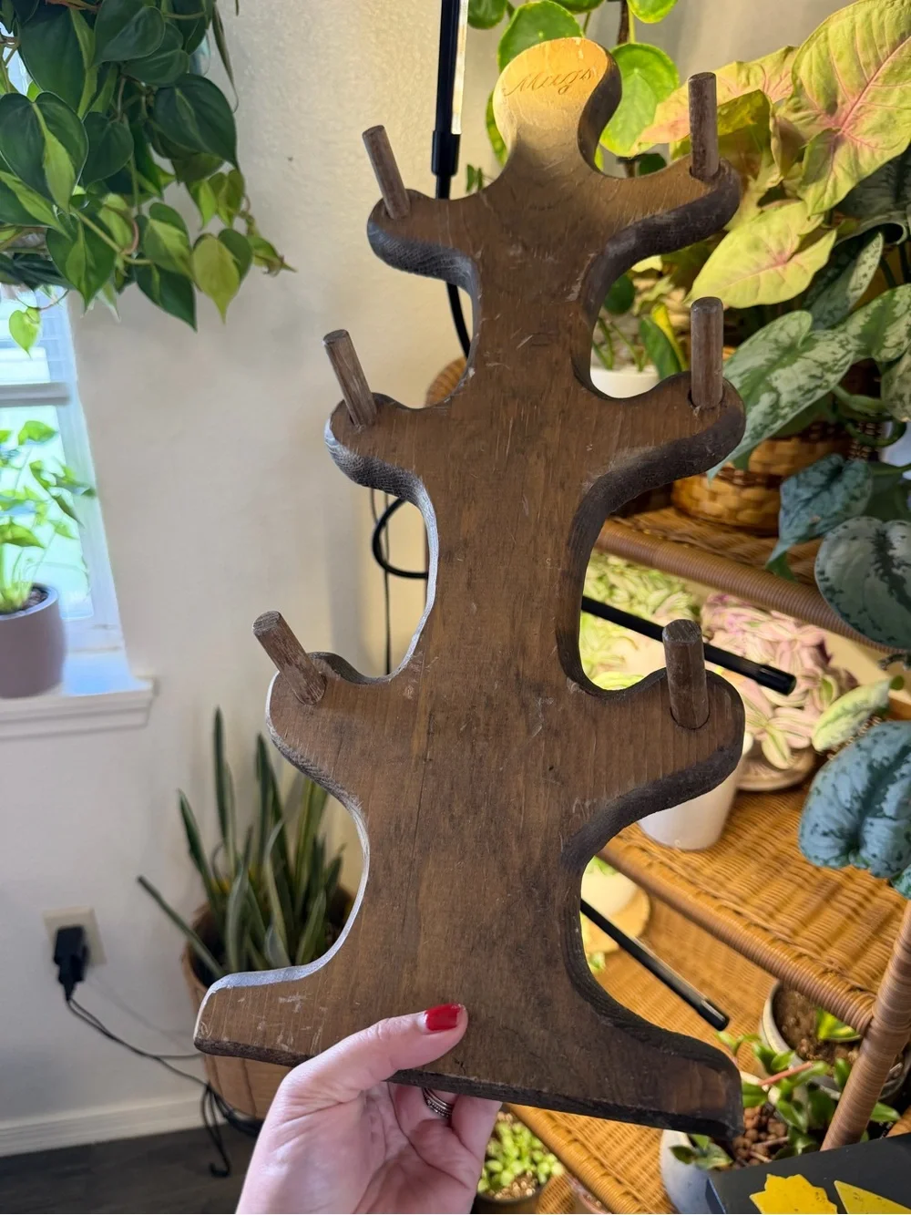 Wooden Multi-Hook Wall Rack - Brown